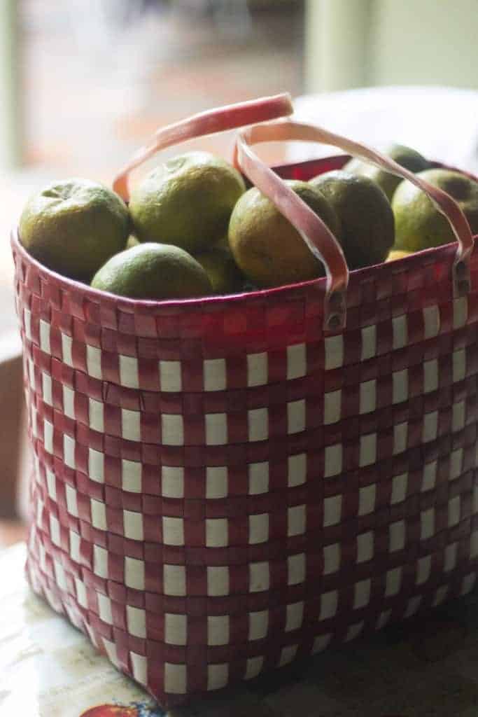 oranges in a red and white bag