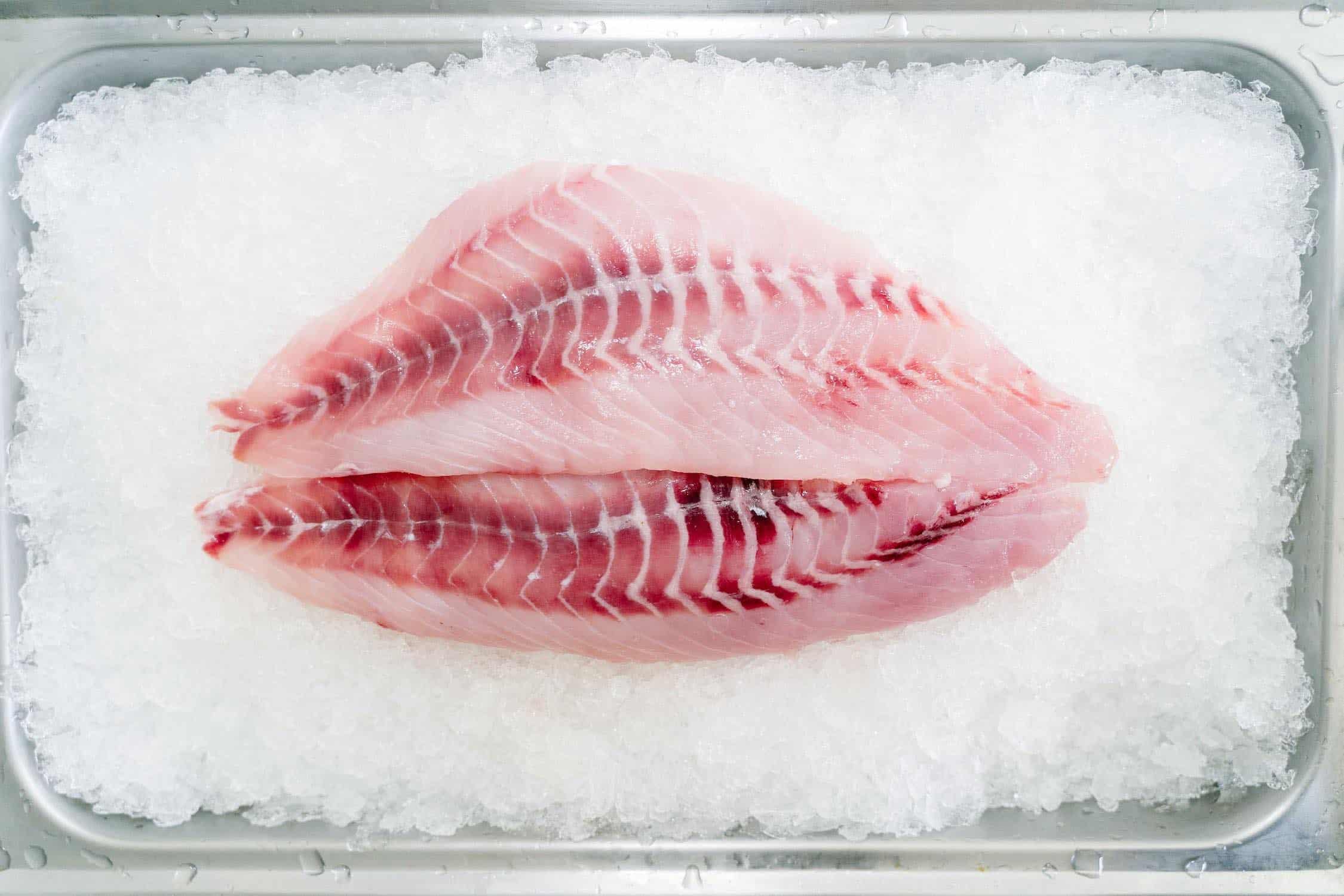 picture of fish fillet on ice