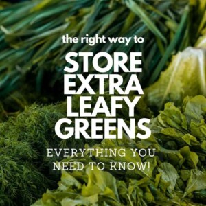 different types of leafy greens with text overlay